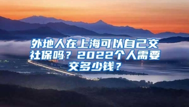 外地人在上海可以自己交社保吗？2022个人需要交多少钱？