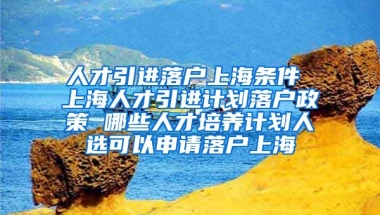 人才引进落户上海条件 上海人才引进计划落户政策 哪些人才培养计划人选可以申请落户上海