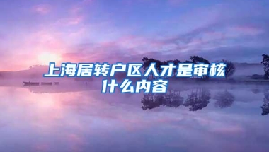 上海居转户区人才是审核什么内容