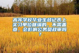 高等学校毕业生登记表上实习单位瞎编的，不需盖章，会影响公务员政审吗？