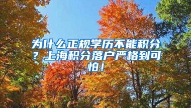 为什么正规学历不能积分？上海积分落户严格到可怕！