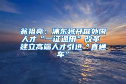 翁祖亮：浦东将开展外国人才“一证通用”改革 建立高端人才引进“直通车”