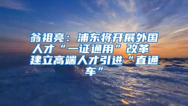 翁祖亮：浦东将开展外国人才“一证通用”改革 建立高端人才引进“直通车”