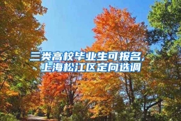 三类高校毕业生可报名, 上海松江区定向选调