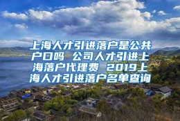 上海人才引进落户是公共户口吗 公司人才引进上海落户代理费 2019上海人才引进落户名单查询