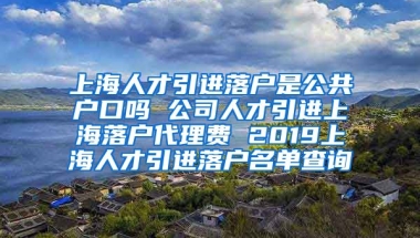 上海人才引进落户是公共户口吗 公司人才引进上海落户代理费 2019上海人才引进落户名单查询