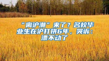 “离沪潮”来了？名校毕业生在沪打拼6年，哭诉：漂不动了