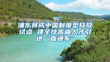 浦东将成中国制度型开放试点 建全球高端人才引进“直通车”