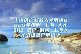 上海落户新政人才引进2020年细则 上海 人才引进 落户 时间 上海人才引进落户审批中