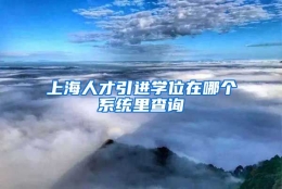 上海人才引进学位在哪个系统里查询