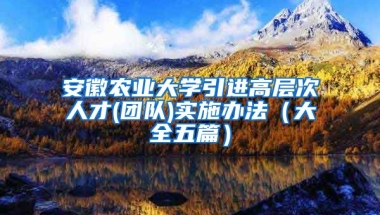 安徽农业大学引进高层次人才(团队)实施办法（大全五篇）