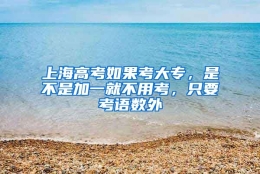 上海高考如果考大专，是不是加一就不用考，只要考语数外