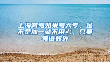 上海高考如果考大专，是不是加一就不用考，只要考语数外