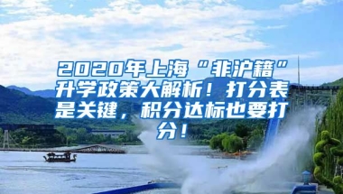 2020年上海“非沪籍”升学政策大解析！打分表是关键，积分达标也要打分！