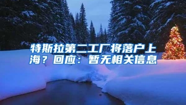 特斯拉第二工厂将落户上海？回应：暂无相关信息