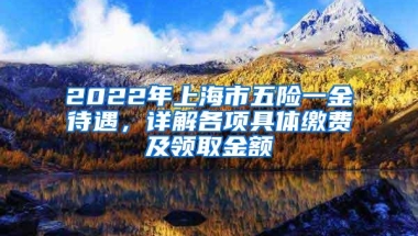 2022年上海市五险一金待遇，详解各项具体缴费及领取金额