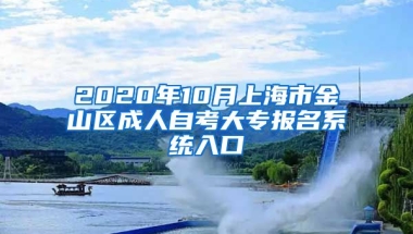 2020年10月上海市金山区成人自考大专报名系统入口