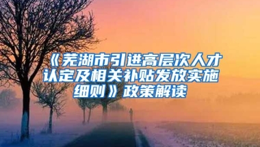 《芜湖市引进高层次人才认定及相关补贴发放实施细则》政策解读