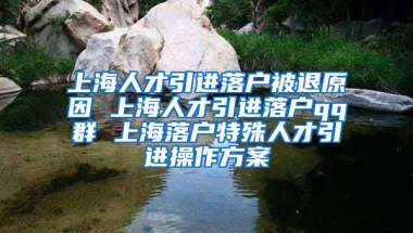 上海人才引进落户被退原因 上海人才引进落户qq群 上海落户特殊人才引进操作方案