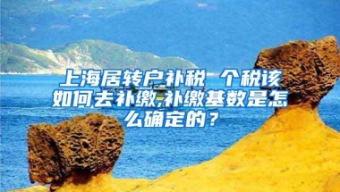 上海居转户补税 个税该如何去补缴,补缴基数是怎么确定的？