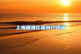 上海杨浦区居转户咨询