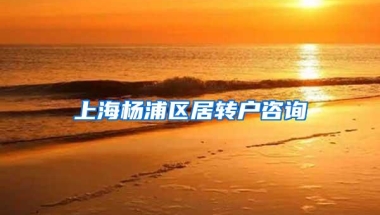 上海杨浦区居转户咨询