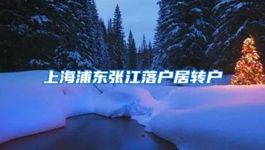 上海浦东张江落户居转户