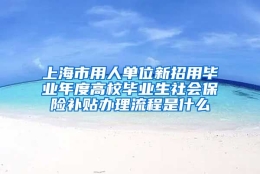 上海市用人单位新招用毕业年度高校毕业生社会保险补贴办理流程是什么