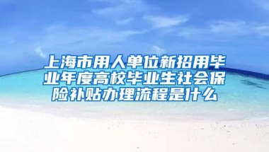 上海市用人单位新招用毕业年度高校毕业生社会保险补贴办理流程是什么