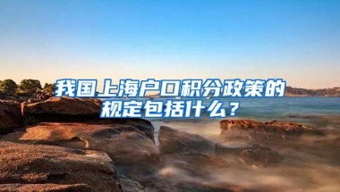 我国上海户口积分政策的规定包括什么？