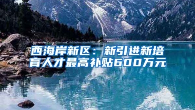 西海岸新区：新引进新培育人才最高补贴600万元