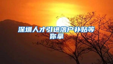 深圳人才引进落户补贴等你拿