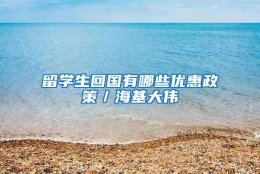 留学生回国有哪些优惠政策／海基大伟