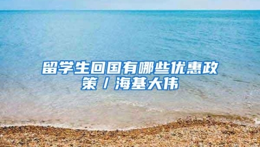 留学生回国有哪些优惠政策／海基大伟