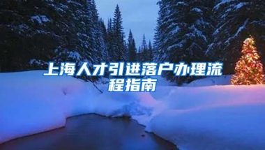 上海人才引进落户办理流程指南