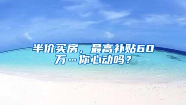 半价买房，最高补贴60万…你心动吗？