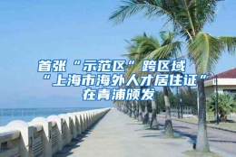 首张“示范区”跨区域“上海市海外人才居住证”在青浦颁发