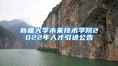 新疆大学未来技术学院2022年人才引进公告