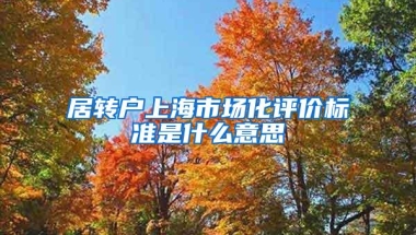 居转户上海市场化评价标准是什么意思