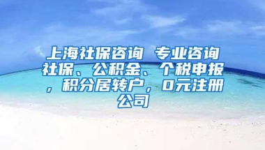 上海社保咨询 专业咨询社保、公积金、个税申报，积分居转户，0元注册公司