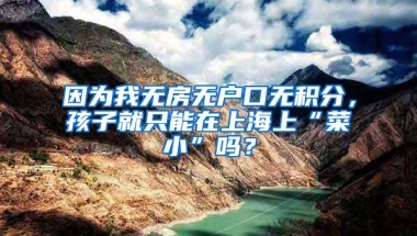 因为我无房无户口无积分，孩子就只能在上海上“菜小”吗？