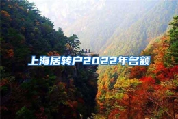 上海居转户2022年名额