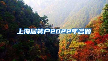 上海居转户2022年名额