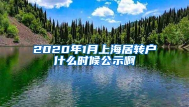 2020年1月上海居转户什么时候公示啊