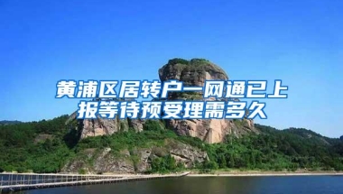 黄浦区居转户一网通已上报等待预受理需多久