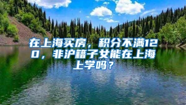 在上海买房，积分不满120，非沪籍子女能在上海上学吗？