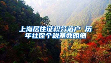 上海居住证积分落户 历年社保个税基数明细