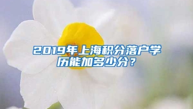 2019年上海积分落户学历能加多少分？