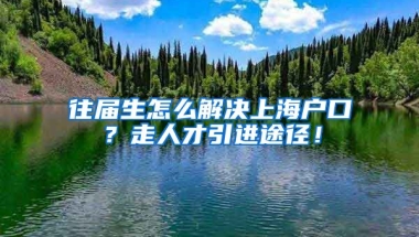 往届生怎么解决上海户口？走人才引进途径！