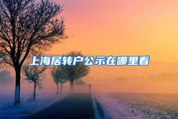 上海居转户公示在哪里看